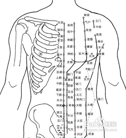 中医执业医师针灸穴位定位记忆有哪些秘诀