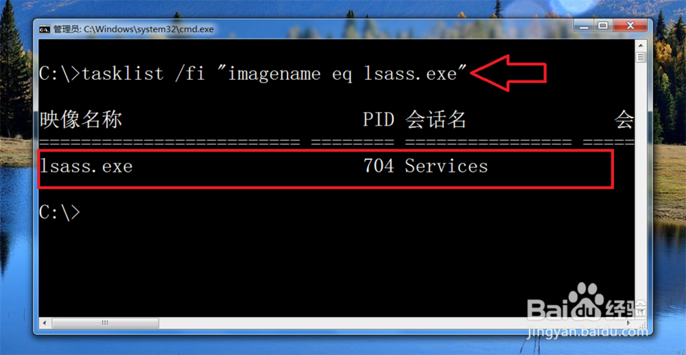 windows上 正常系统进程列表