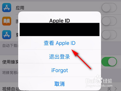 如何查询iPhone的消费记录?