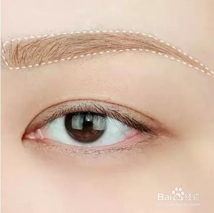 化妆的详细步骤教程