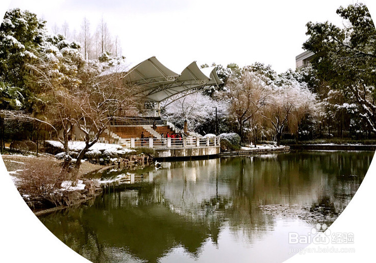冬天来了出外旅游上海一走看初雪公园雪景真美
