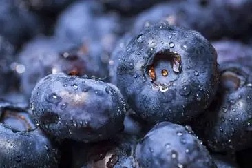 蓝莓怎么吃功效最好