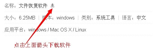 如何恢复被删除的文件?
