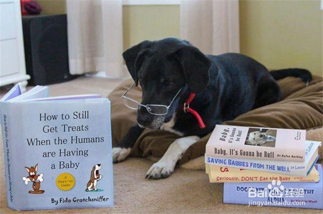 如何文艺含蓄地宣告新宝宝的诞生？