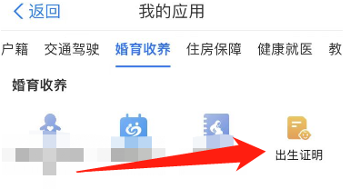 出生证明怎么补办