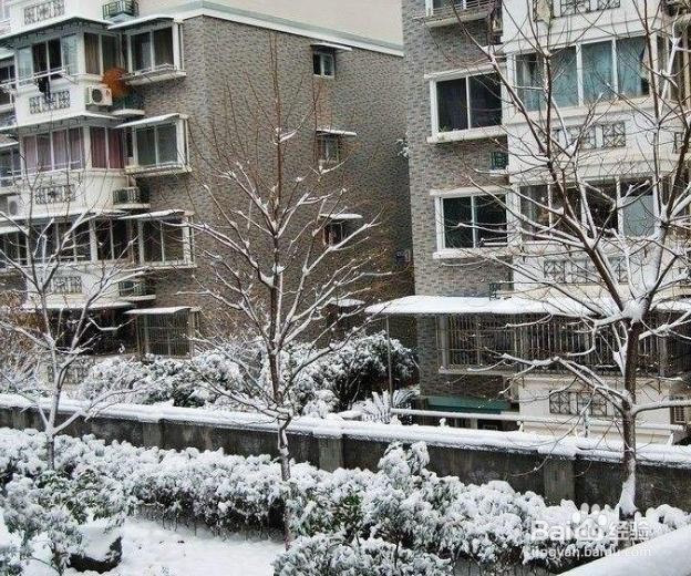 下雪天出行要注意哪些