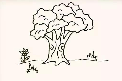 树的简笔画怎么画