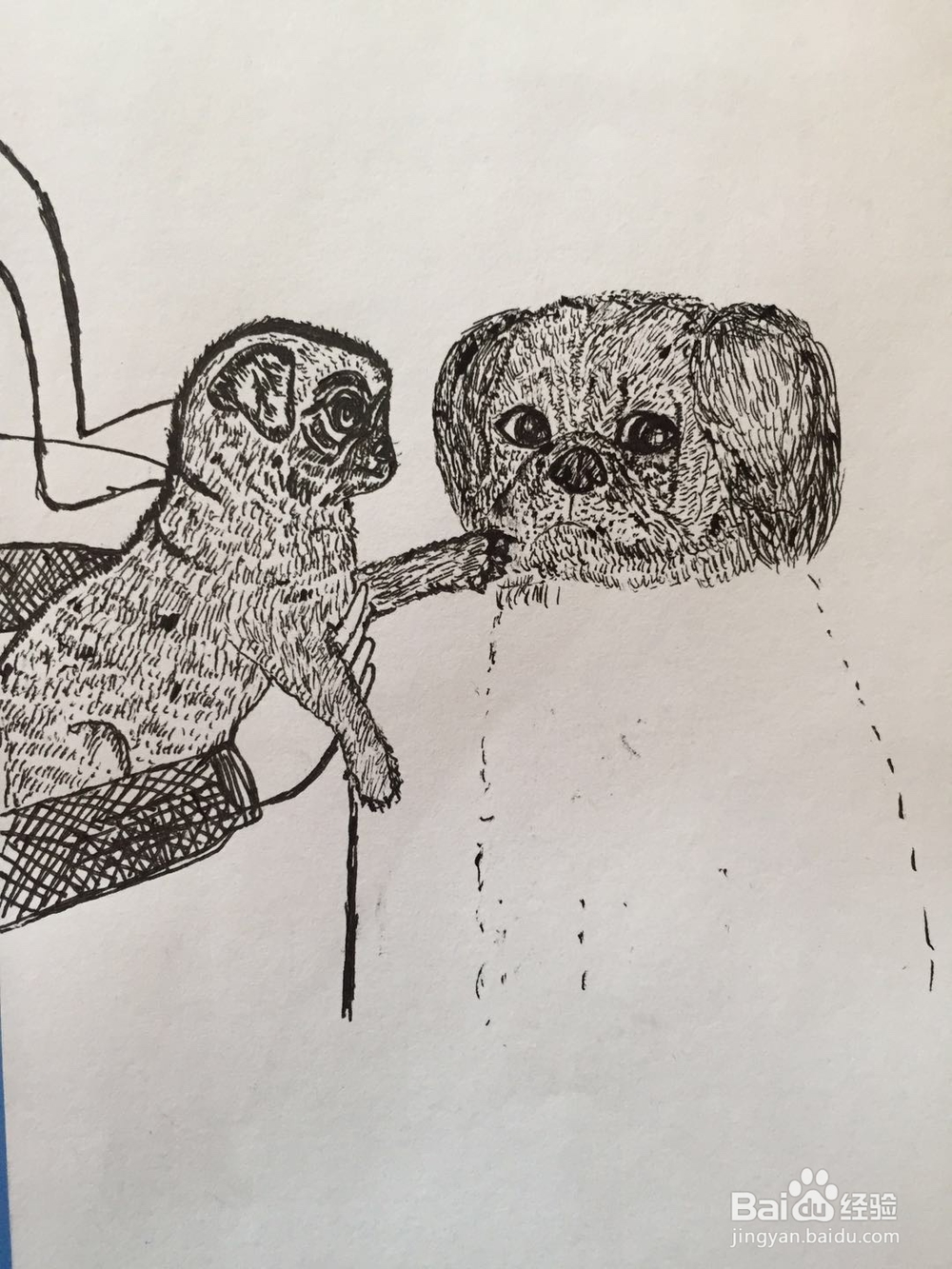 dxdll手绘之小狗