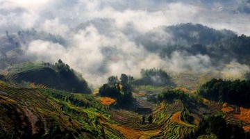 紫鹊界梯田旅游攻略