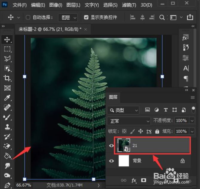 Photoshop2021如何修改图层颜色饱和度呢