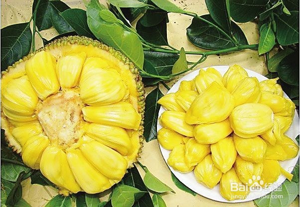 菠萝蜜的营养和功效