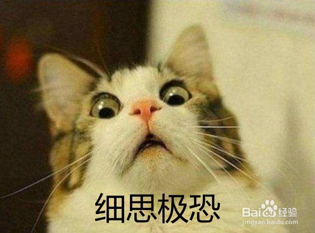 做高考志愿填报这一行需要提前了解什么