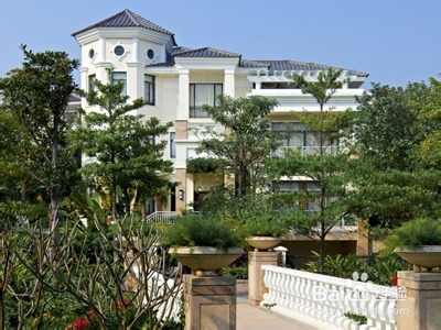 室内盆栽的好处是什么