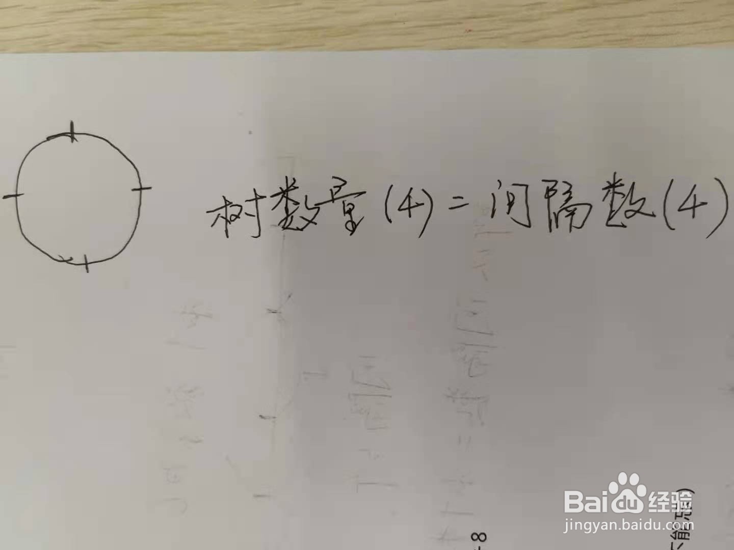 小学数学之种树问题