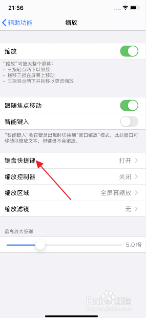 iphone11怎么开启缩放调整放大级别
