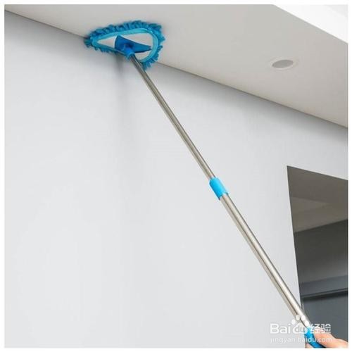 如何去除墙壁上的霉菌？