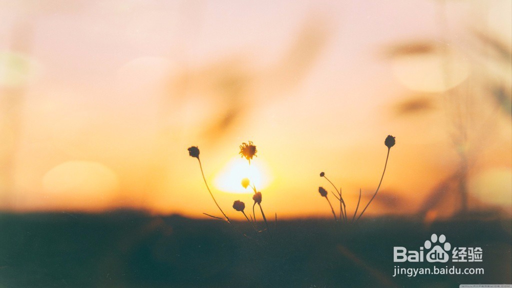 我其实没有那么坚强