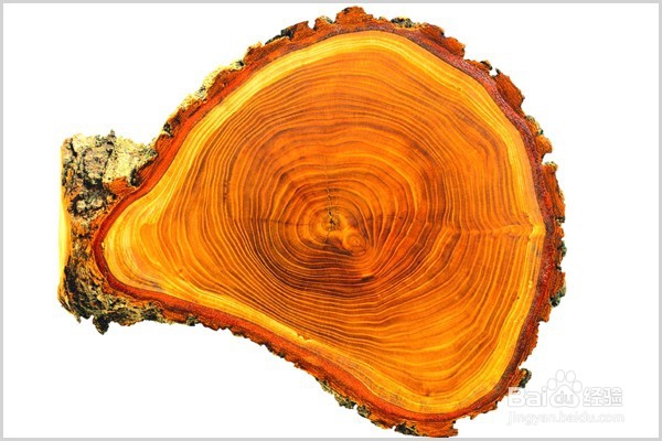 实木家具木材百科知识