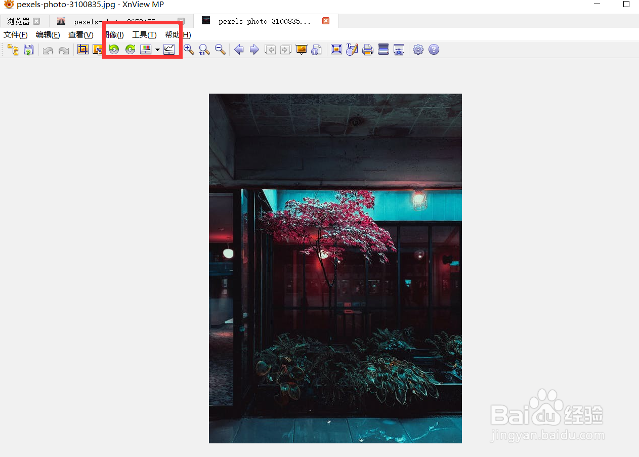 xnview如何启用选择新的文件功能
