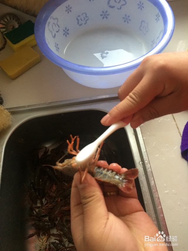 劲爆麻辣小龙虾的做法