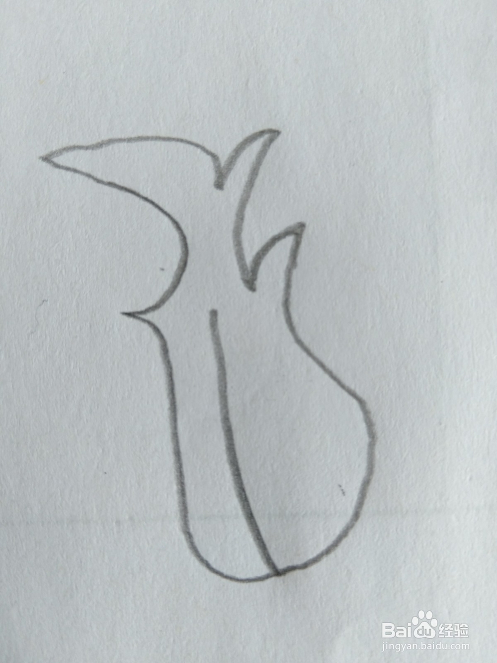 儿童简笔画白菜画法十