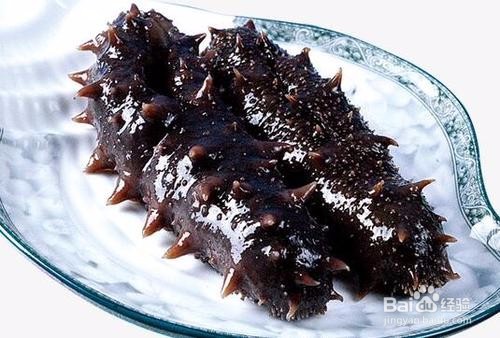 海参对子宫的作用