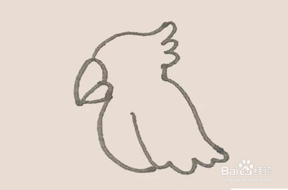 伴儿成长简笔画系列-怎样画鹦鹉简笔画