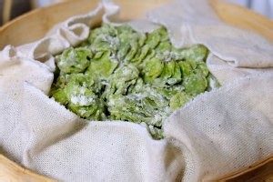 蒸榆钱的制作方法