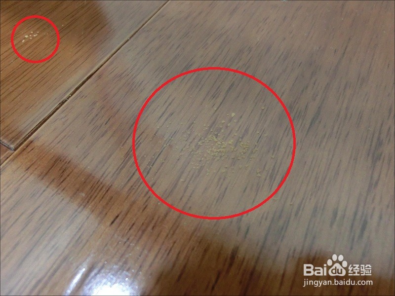 木蠹虫怎么灭