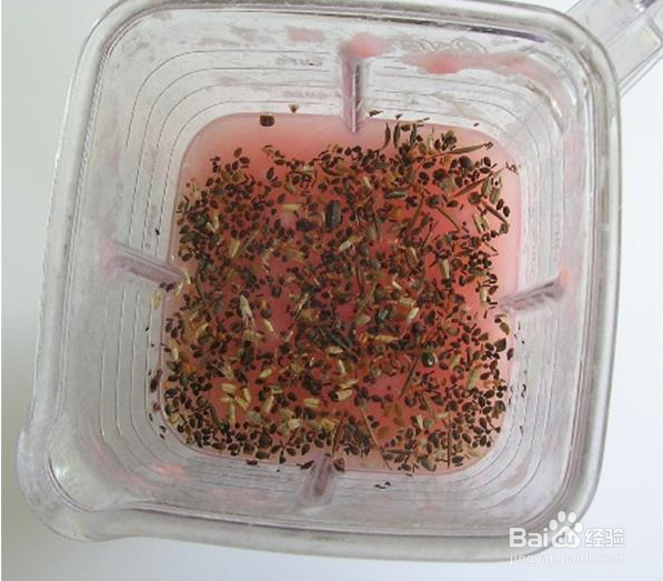 会发芽的创意种子爱心卡片