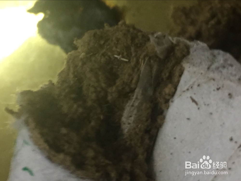 药艾条和清艾条的区别？药艾条好还是清艾条好？