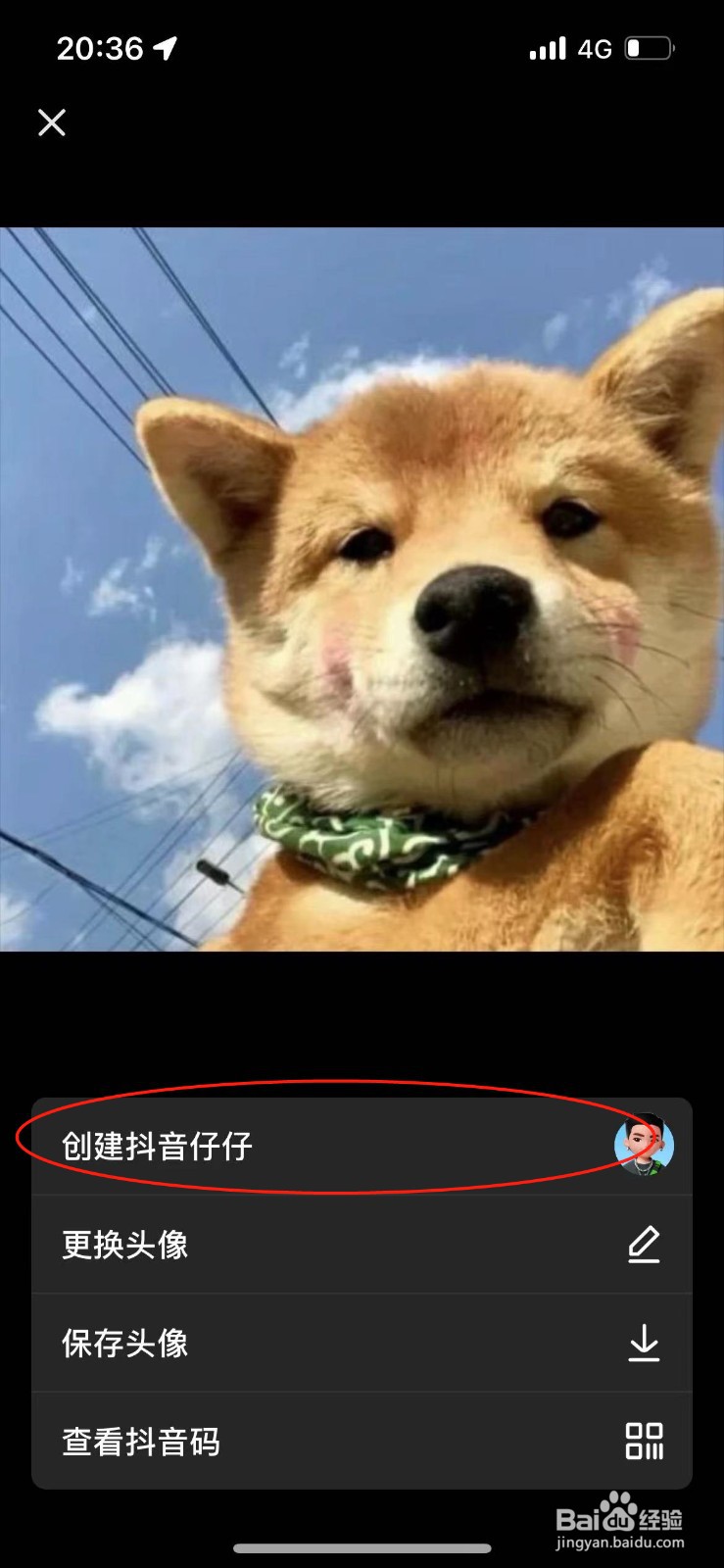 抖音如何创建抖音仔仔