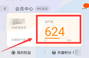 手机淘宝值在哪里查看