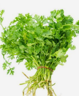 花甲粉怎么做好吃又简单