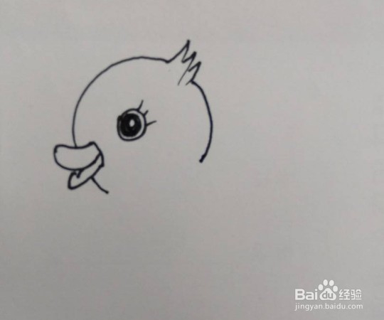 鸭子画法教程。如何画小鸭子,怎么画小鸭子游泳