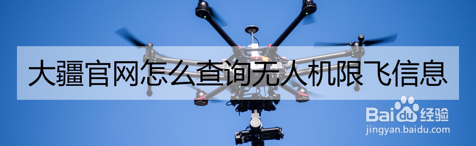 大疆官网怎么查询无人机限飞信息