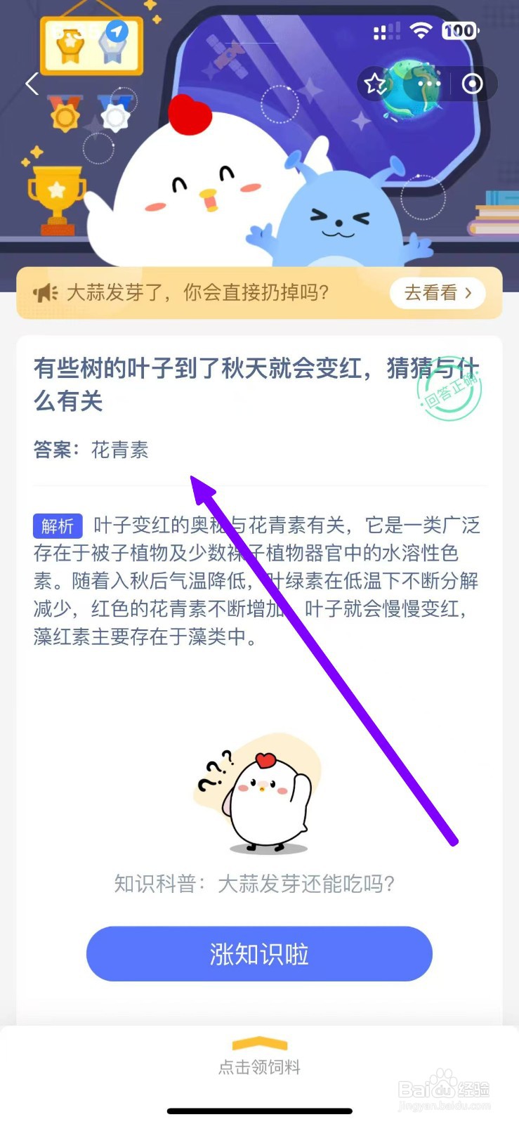 蚂蚁庄园11.23树叶到秋天变红猜猜与什么有关？