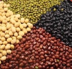 儿童益智游戏之分豆豆