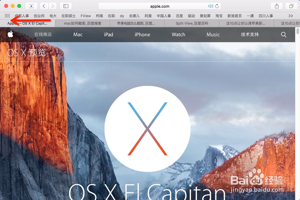 Mac新Safari一键静音和网页标签固定功能