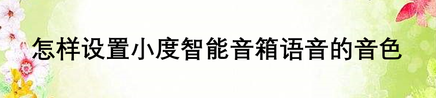 怎样设置小度智能音箱语音的音色