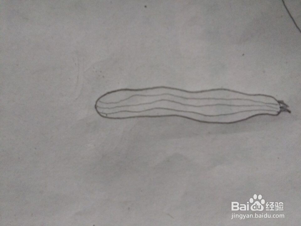 丝瓜简笔画怎么画