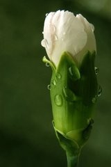 旅客运输办理细则--铁路实作必备部分