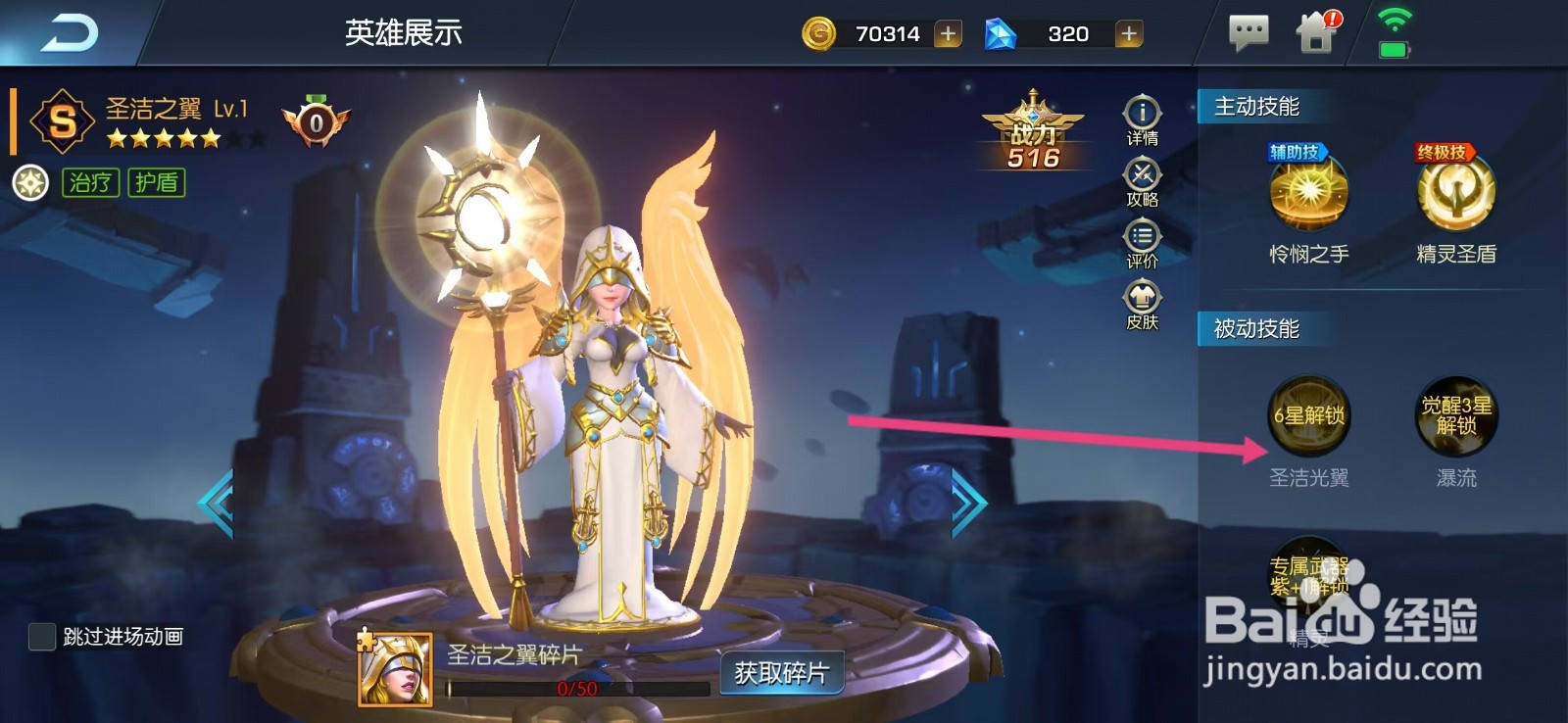 光之守望如何查看圣洁之翼的【圣洁光翼】