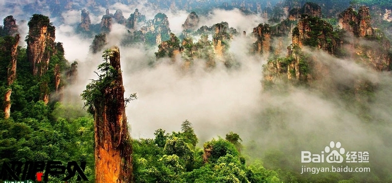 黄冈到张家界自驾游