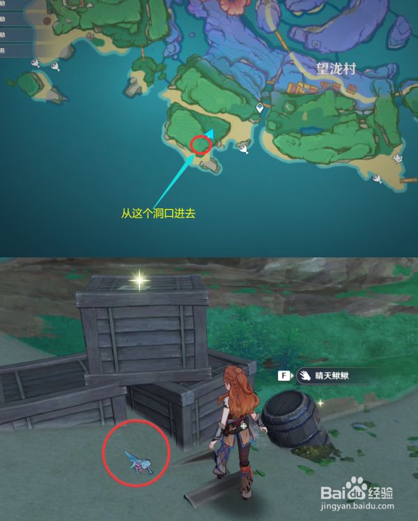 原神四方八方之网晴天鳅鳅蓝蛙黄金蟹位置