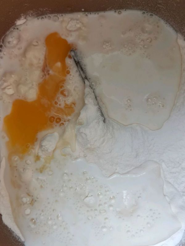 网红蝴蝶结面包