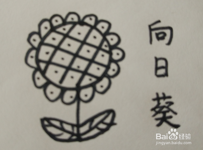 <b>宝宝学画：向日葵怎么画</b>