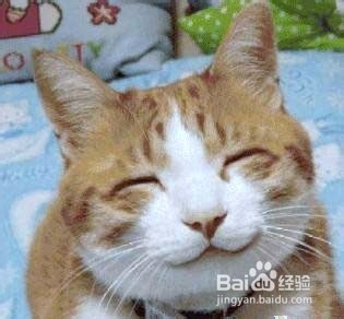 长寿者的健康理念