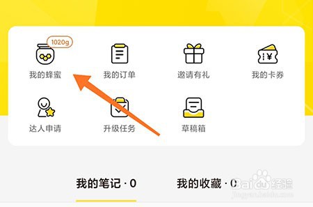 觅食蜂怎么获取蜂蜜