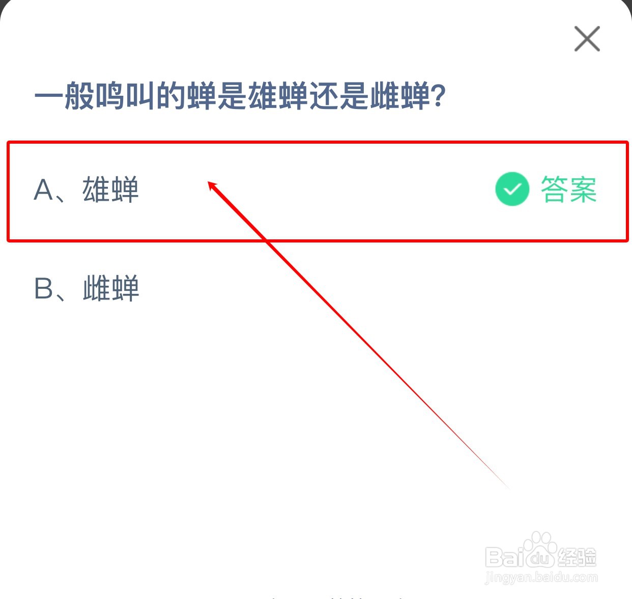 一般鸣叫的蝉是雄蝉还是雌蝉蚂蚁庄园